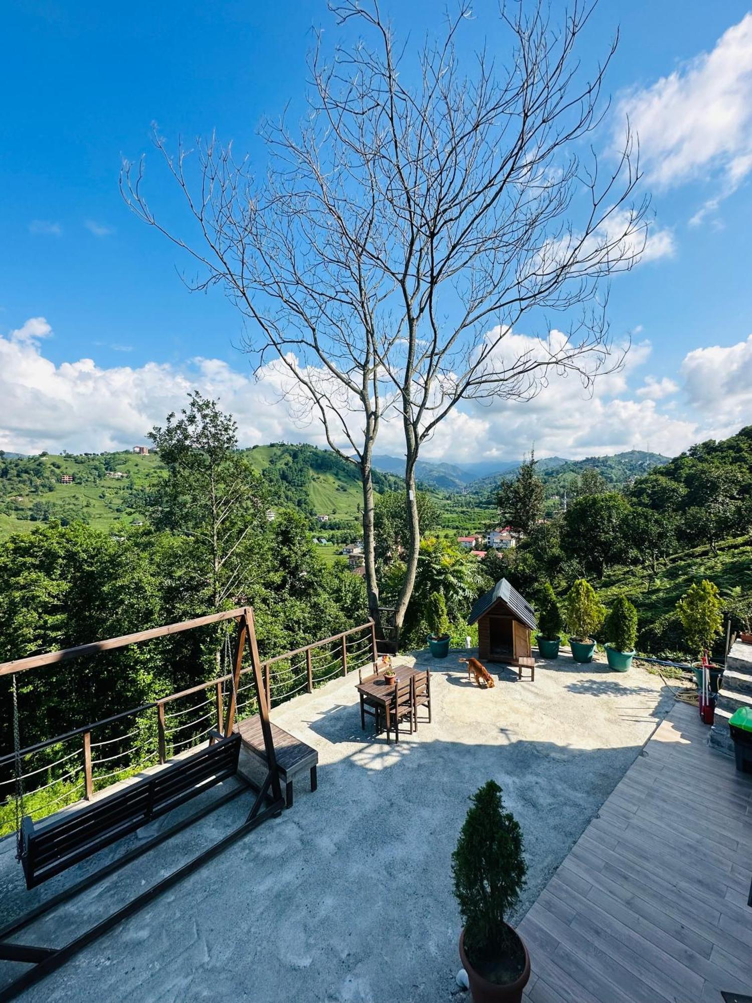 Greenlife Dagevleri Homestay