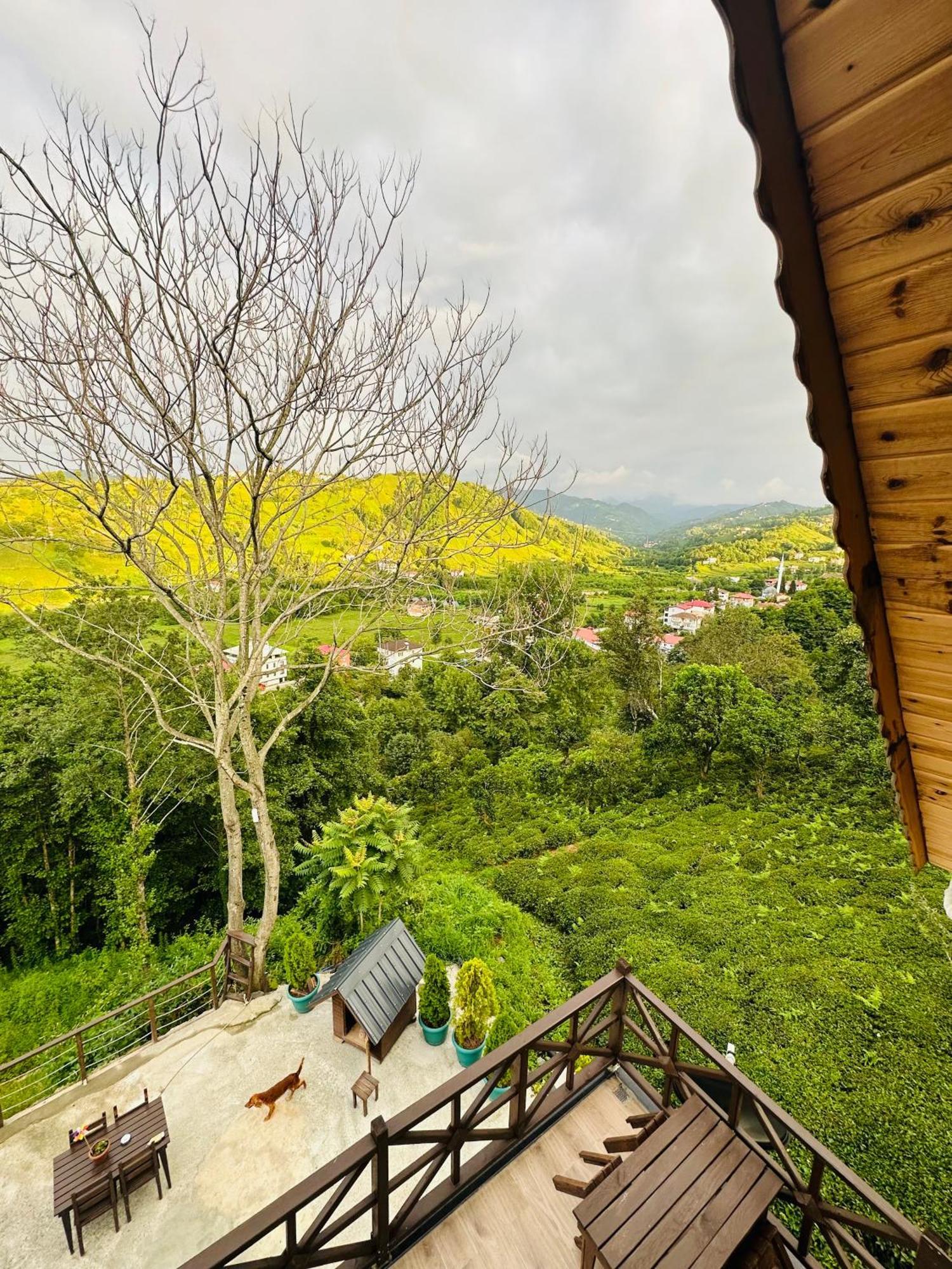 Greenlife Dagevleri Homestay